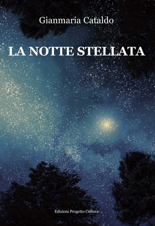 La notte stellata Scarica PDF EPUB
