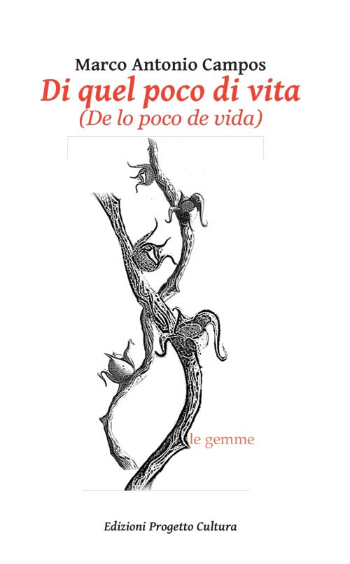 Di quel poco di vita (De lo poco de vida) Scarica PDF EPUB
