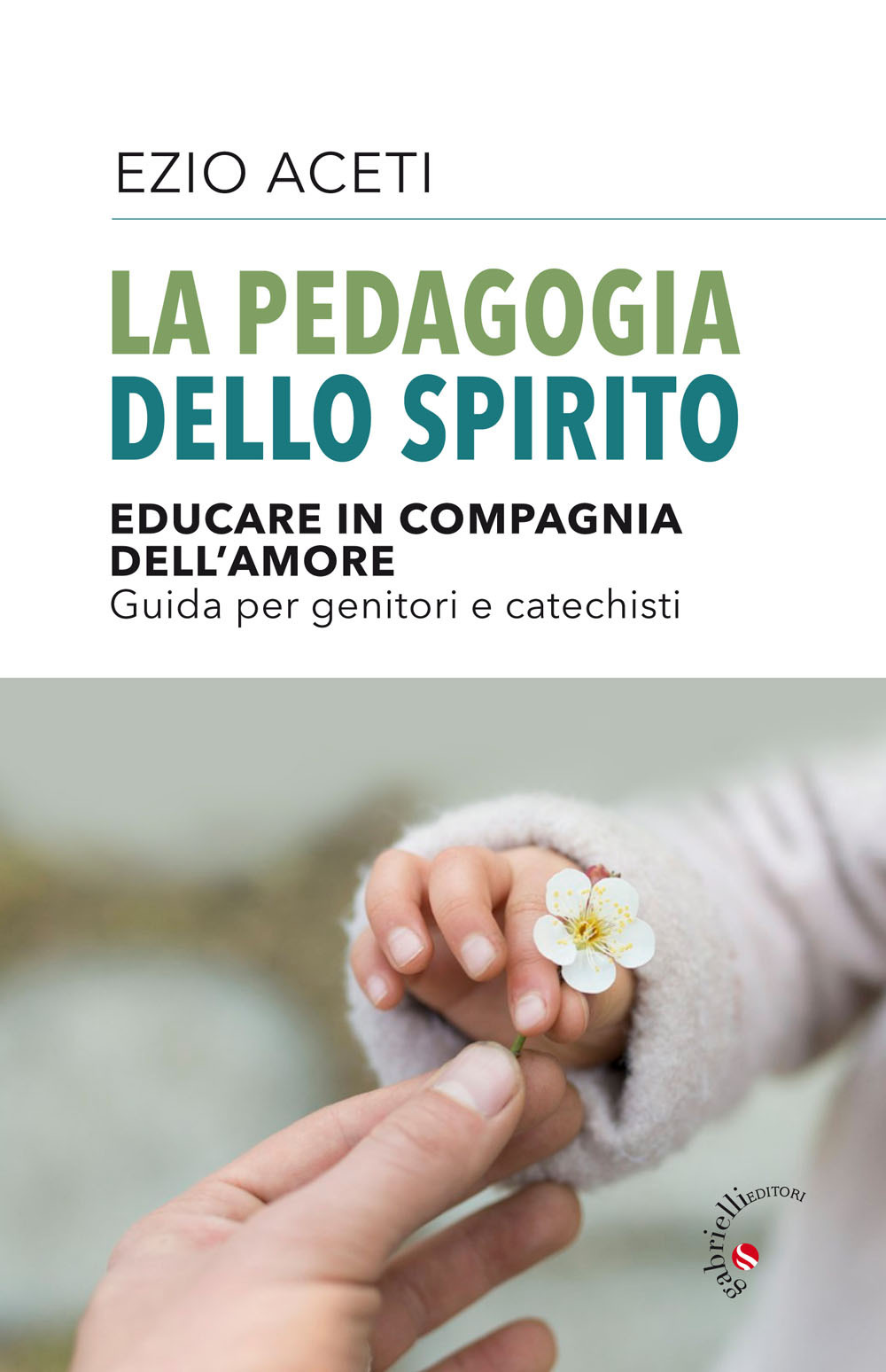 Image of La pedagogia dello spirito. Educare in compagnia dell'amore. Guida per genitori e catechisti
