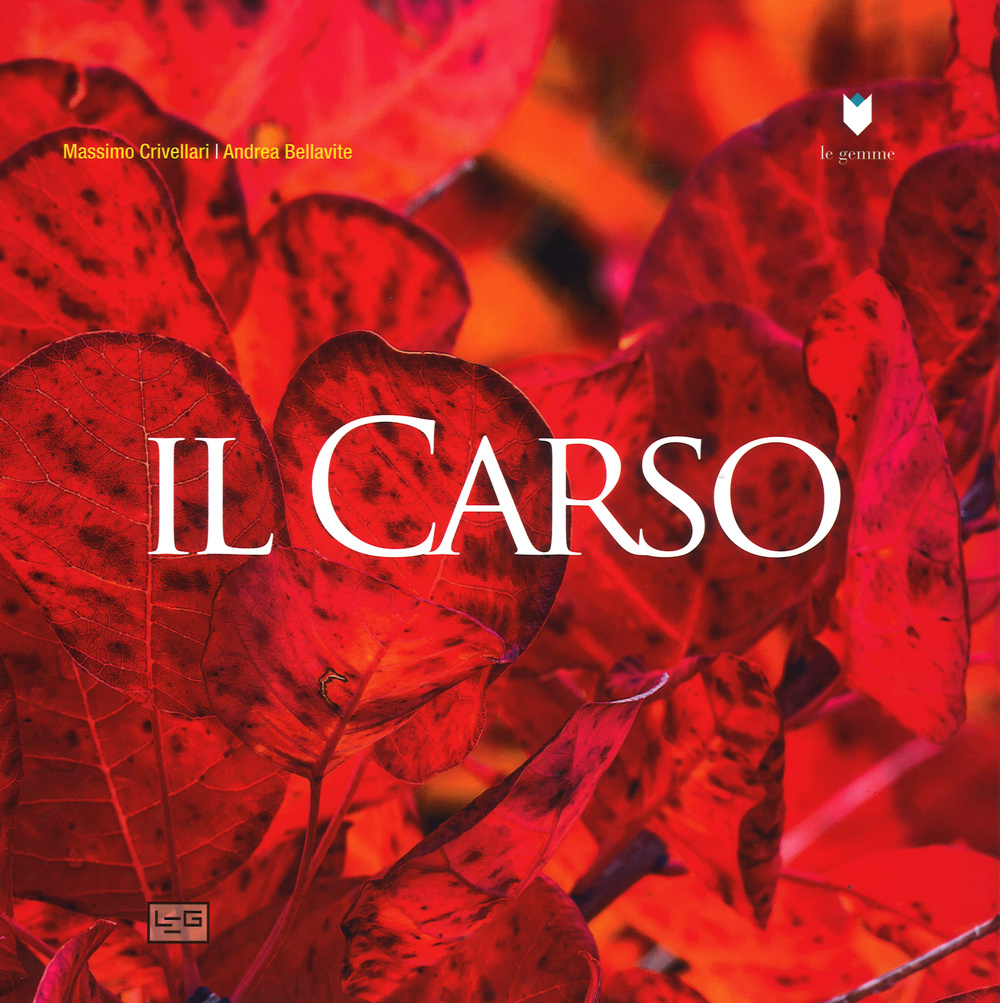 Il Carso Scarica PDF EPUB
