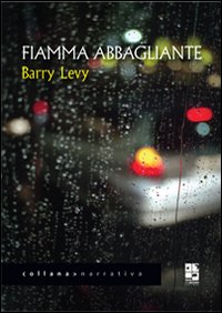 Fiamma abbagliante Scarica PDF EPUB
