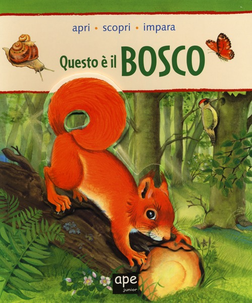 Questo è il bosco. Apri, scopri, impara