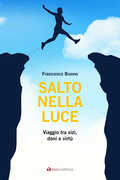 Libro Salto nella luce. Viaggio tra vizi, doni e virtù Francesco Buono