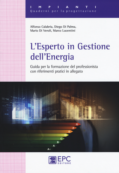 L' esperto in gestione dell'energia. Guida per la formazionre del professionista con riferimenti pratici in allegato Scarica PDF EPUB
