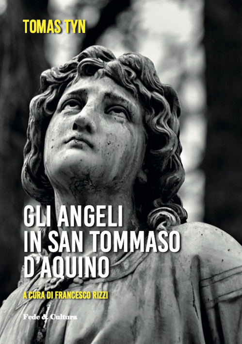 Gli angeli di San Tommaso d'Aquino Scarica PDF EPUB
