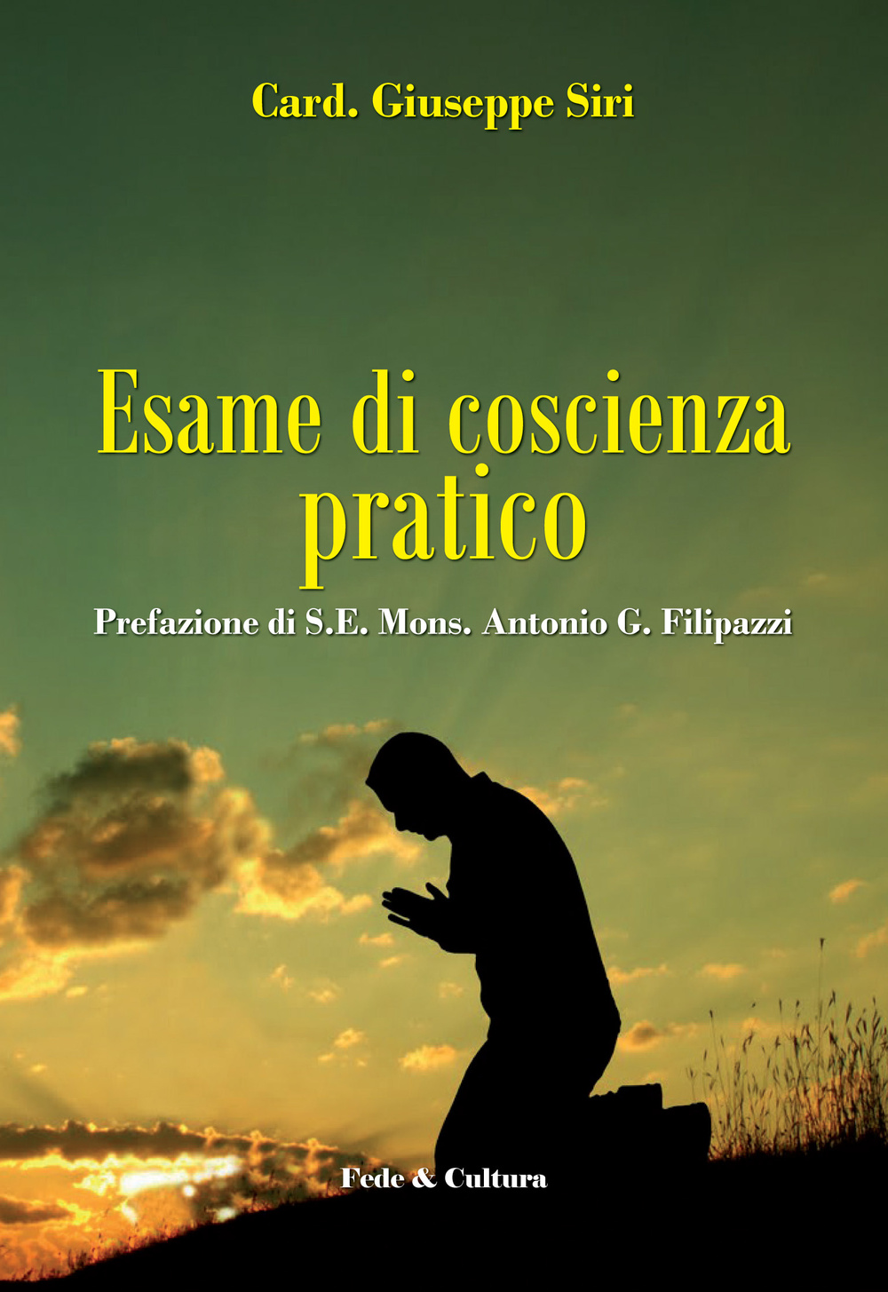 Esame di coscienza pratico Scarica PDF EPUB
