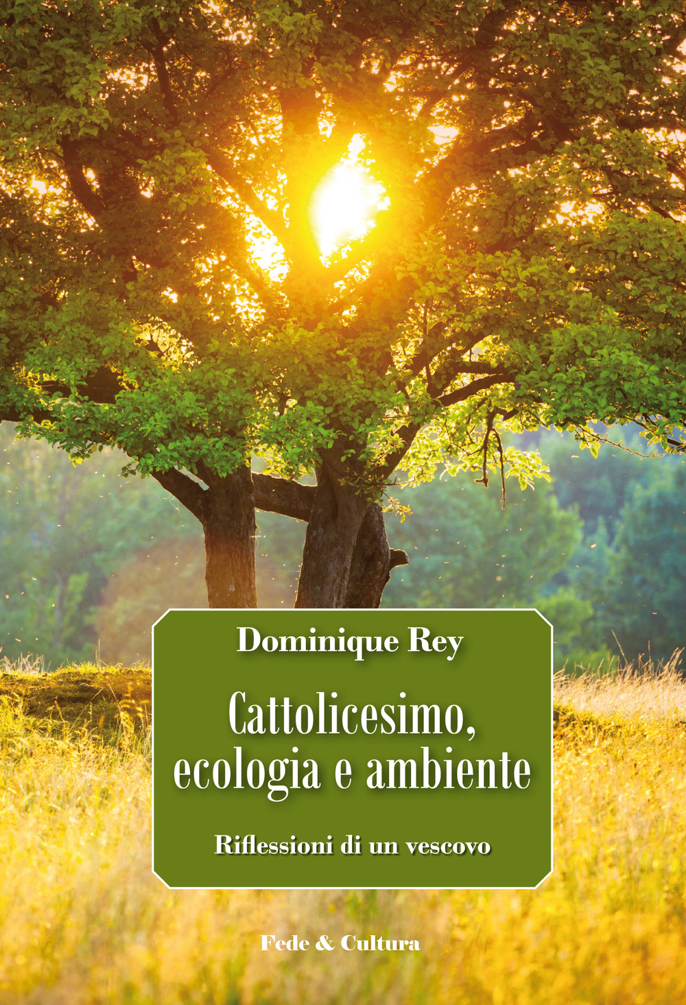 Cattolicesimo, ecologia e ambiente. Riflessioni di un vescovo Scarica PDF EPUB
