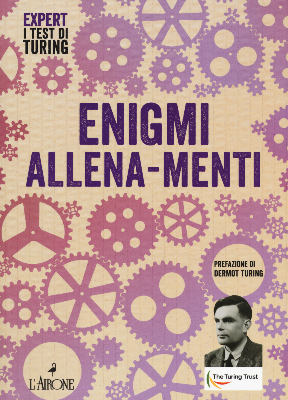Image of Enigmi allena-menti