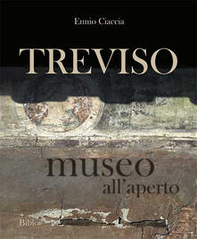 Treviso museo allaperto.pdf
