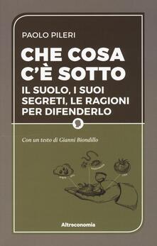 Che cosa cè sotto. Il suolo, i suoi segreti, le ragioni per difenderlo.pdf