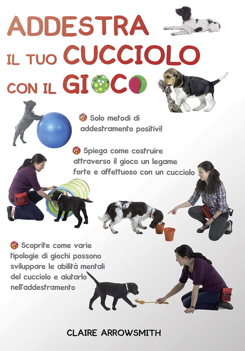 Addestra il tuo cucciolo con il gioco