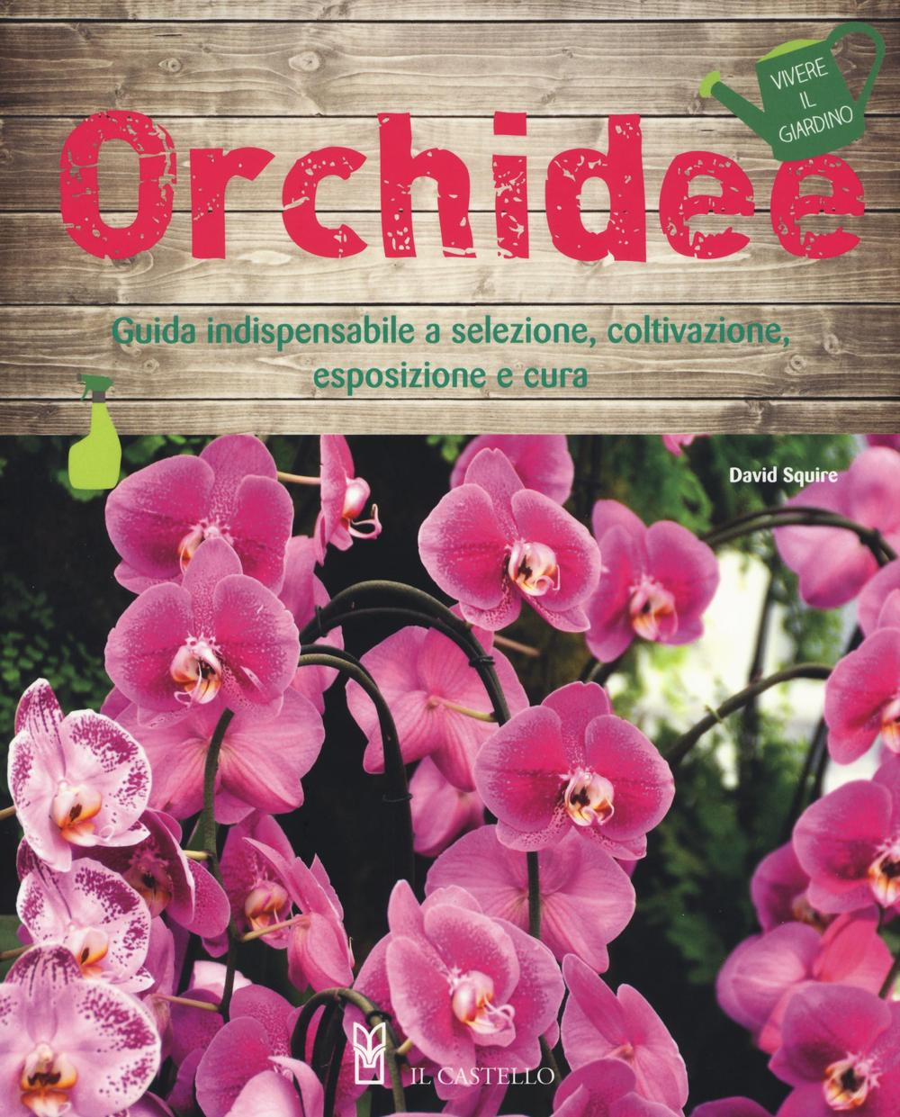 Orchidee