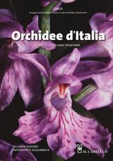 Libro Orchidee d'Italia. Guida alle orchidee spontanee