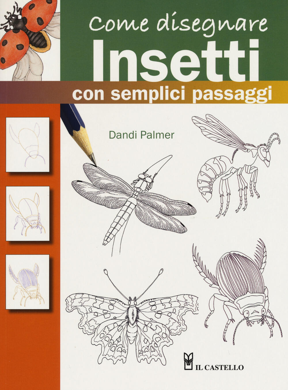 e disegnare insetti con semplici passaggi Ediz a colori Dandi Palmer Libro Il Castello Disegno e tecniche pittoriche