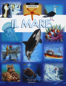 Il mare. Ediz. a colori.pdf
