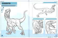 Jurassic World Dinosauri Da Colorare Ediz A Colori Jacqui Butler Libro Nord Sud Ibs