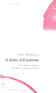 Il diritto dell'ambiente. Una riflessione giuridica sulla difesa ecologica del pianeta Scarica PDF EPUB
