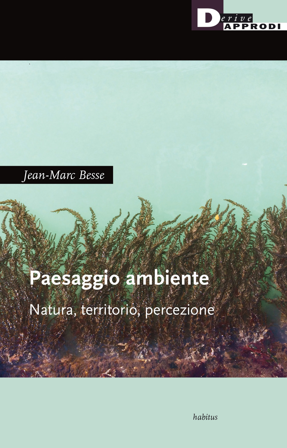 Image of Paesaggio ambiente. Natura, territorio, percezione