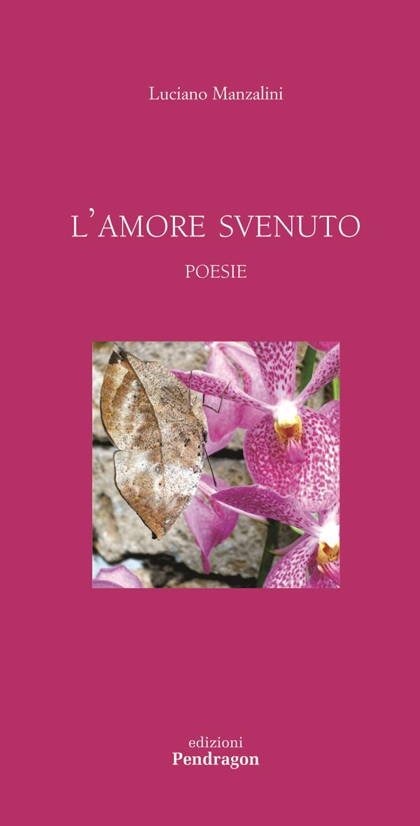 L' amore svenuto Scarica PDF EPUB
