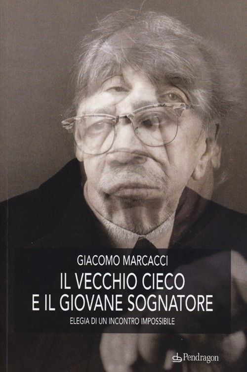 Il vecchio cieco e il giovane sognatore. Elegia di un incontro impossibile Scarica PDF EPUB
