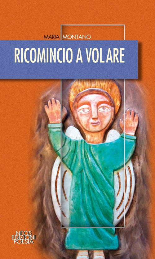 Ricomincio a volare Scarica PDF EPUB
