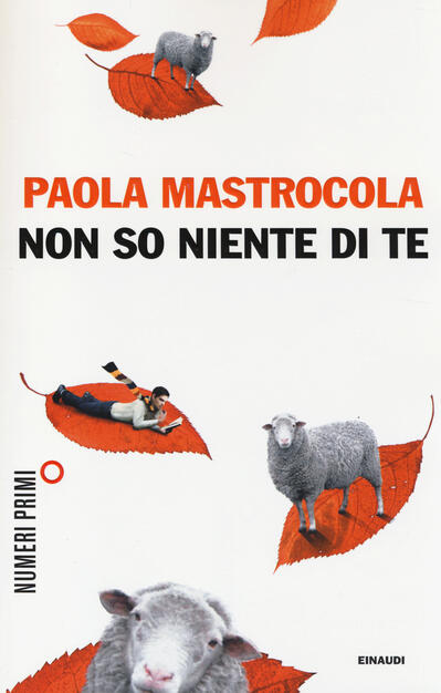 Non so niente di te - Paola Mastrocola - Libro - Einaudi - NumeriPrimi | IBS