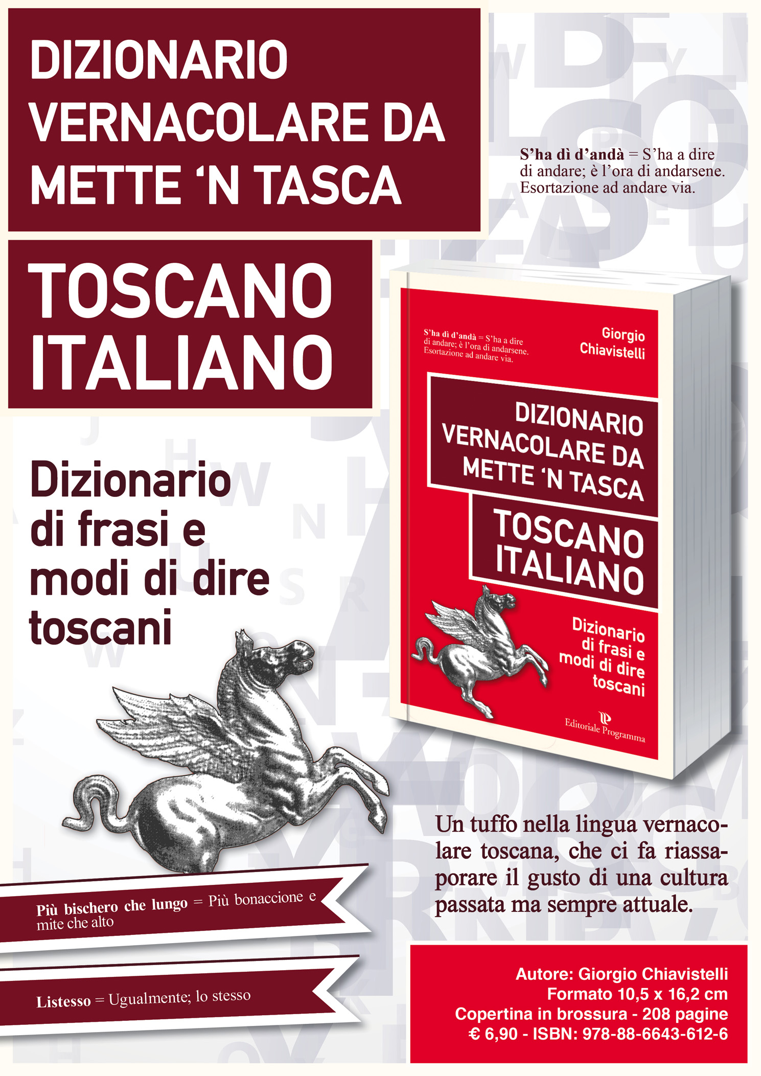 Image of Dizionario vernacolare da mette 'n tasca. Toscano italiano. Dizionario di frasi e modi di dire toscani