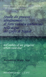 Studio dei processi idrodinamici di forte valenza ambientale nelle acque del golfo di Napoli Scarica PDF EPUB
