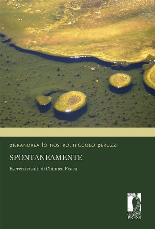 Spontaneamente. Esercizi risolti di chimica fisica Scarica PDF EPUB
