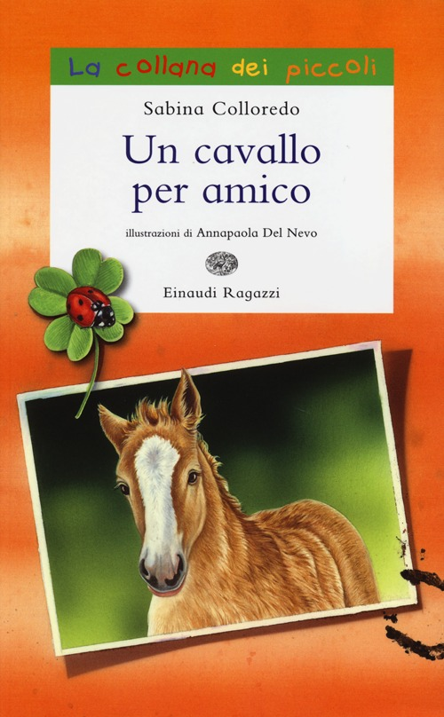 Un cavallo per amico