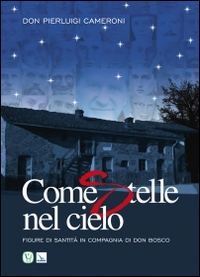 Come stelle nel cielo. Figure di santità in compagnia di don Bosco Scarica PDF EPUB
