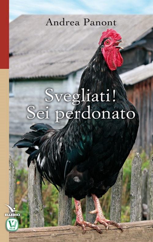 Svegliati! Sei perdonato Scarica PDF EPUB
