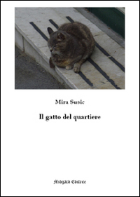 Il gatto del quartiere