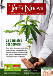 Terra nuova (2020). Vol. 3: cannabis del dottore, La..pdf
