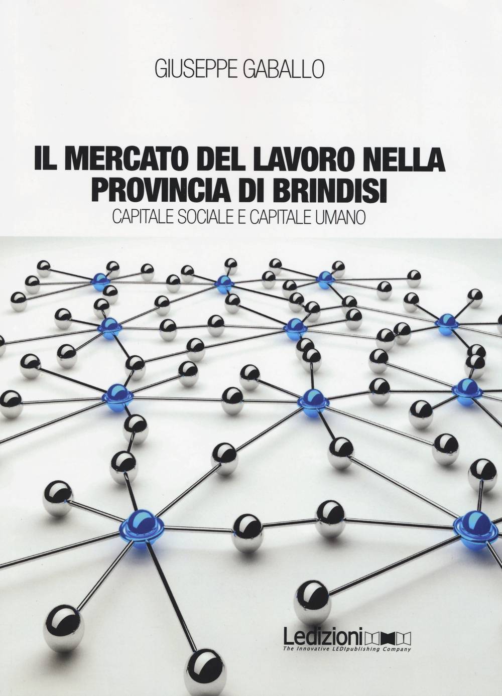 Image of Il mercato del lavoro nella provincia di Brindisi. Capitale sociale e capitale umano