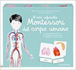 Libro Il mio cofanetto Montessori del corpo umano Marie Eschenbrenner Sabrine Hofman
