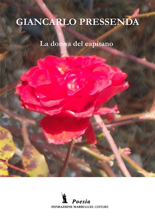 La donna del capitano Scarica PDF EPUB
