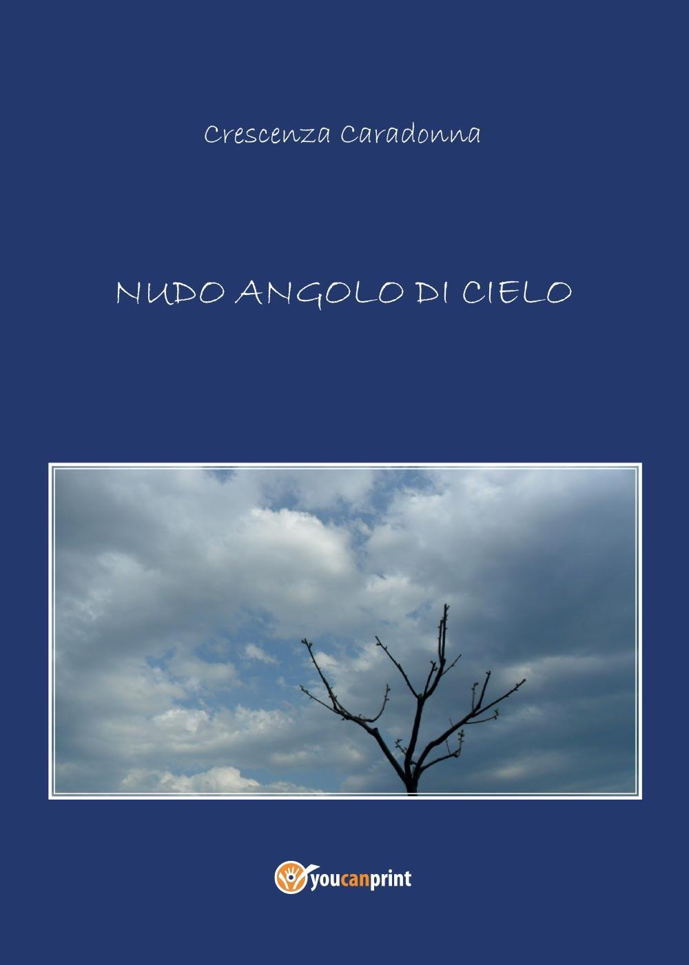 Nudo angolo di cielo Scarica PDF EPUB
