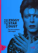 Libro Ziggy Stardust. La vera natura dei sogni Luca Scarlini