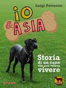 Immagine di ebook/
