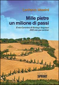 Mille pietre un milione di passi