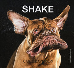 Libro Shake. Ediz. illustrata Carli Davidson