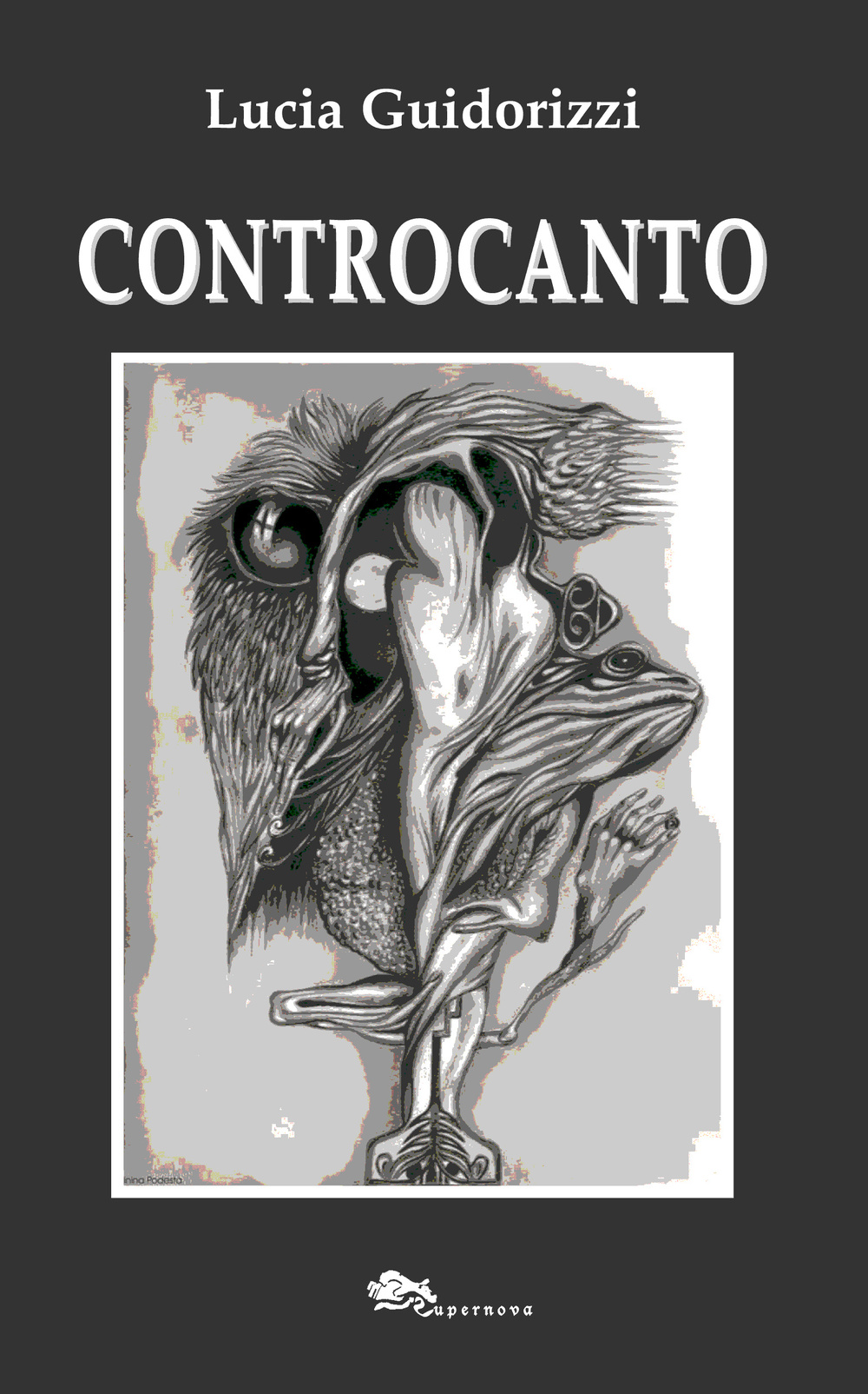 Controcanto Scarica PDF EPUB
