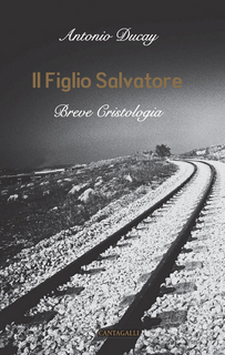 Il Figlio Salvatore. Breve cristologia Scarica PDF EPUB
