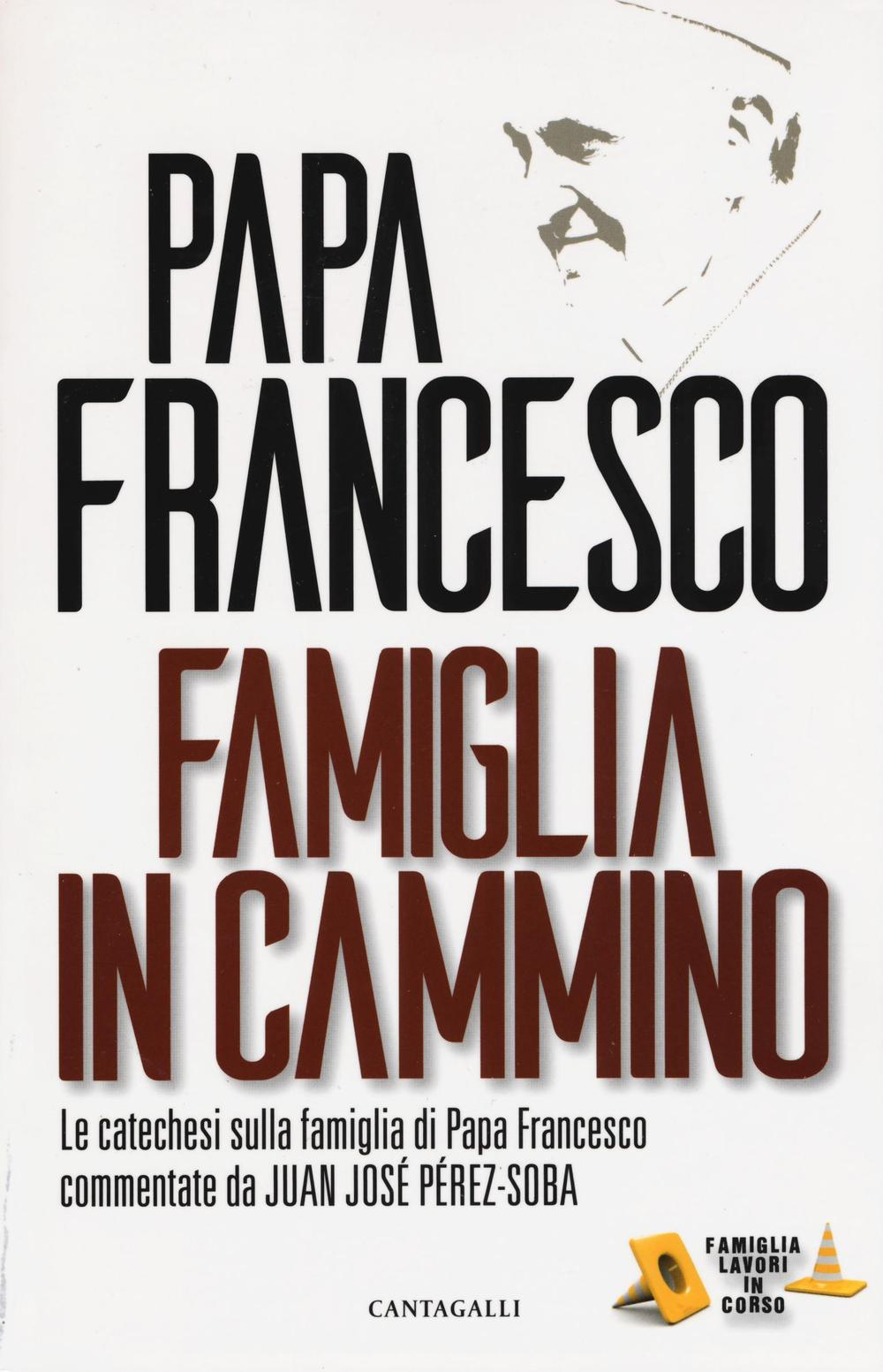 Famiglia in cammino. La catechesi sulla famiglia di papa Francesco Scarica PDF EPUB
