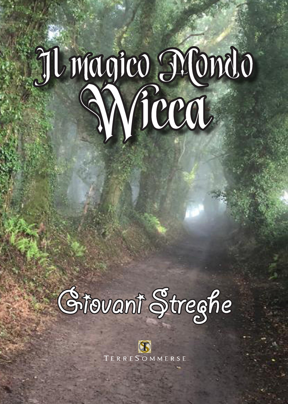 Image of Il magico mondo wicca