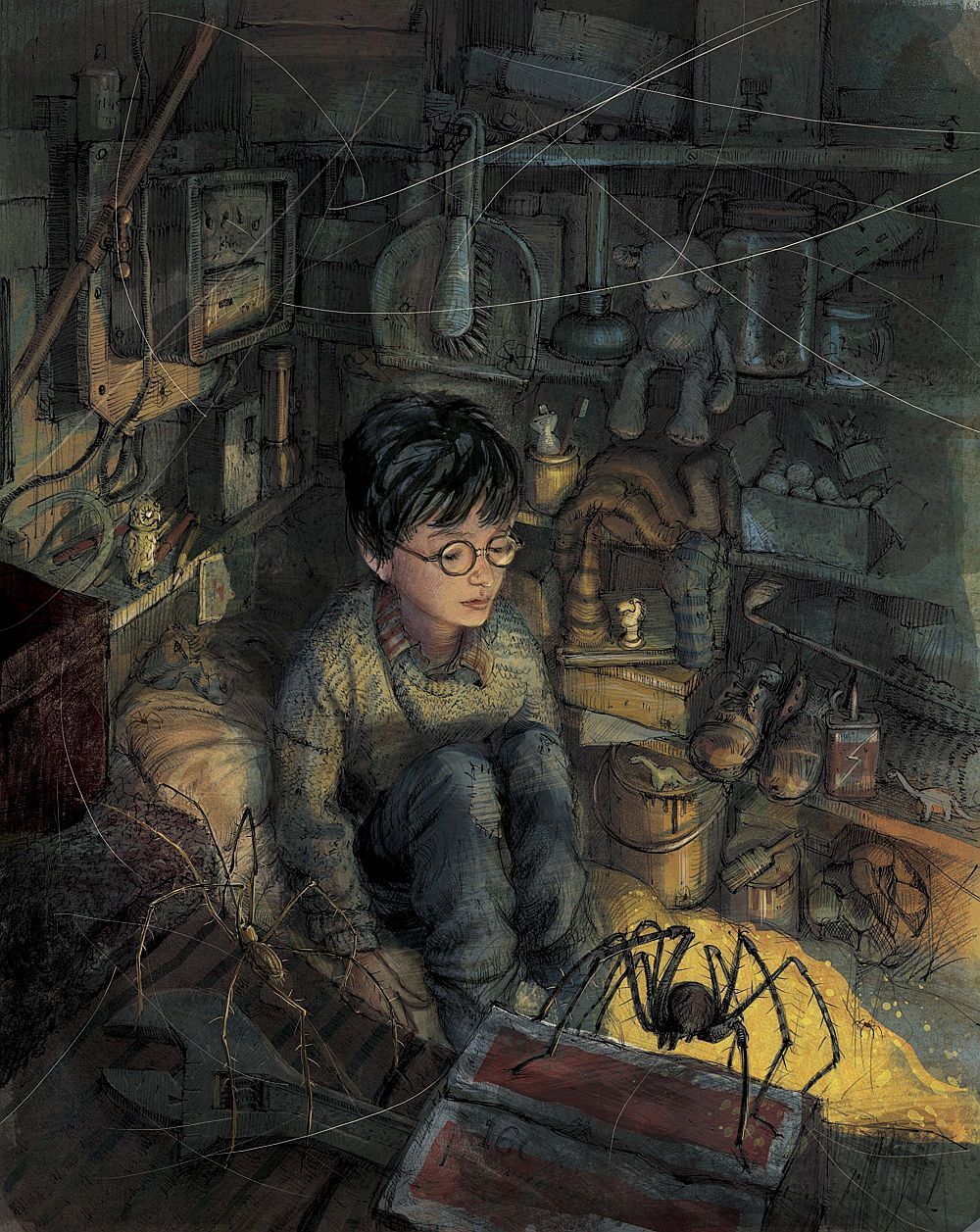 Harry Potter e la pietra filosofale. Ediz. illustrata - J. K. Rowling