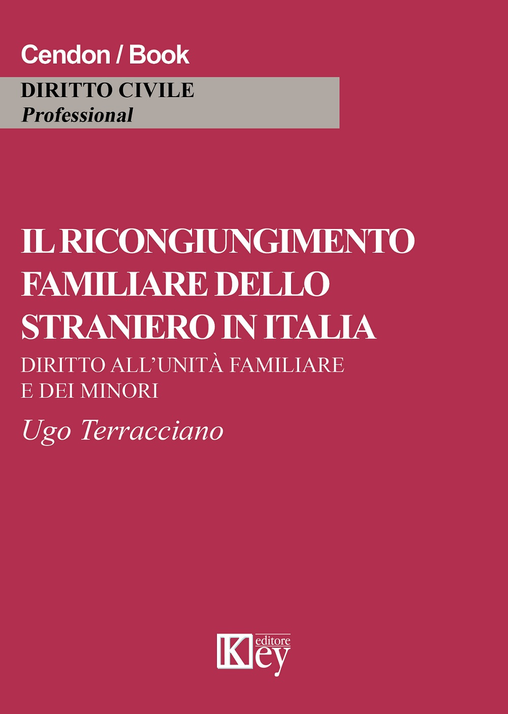 Image of Il ricongiungimento familiare dello straniero in Italia. Diritto all'unità familiare e dei minori