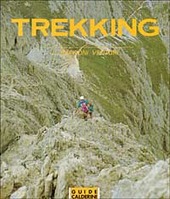 Copertina  Trekking : a piedi per il mondo, viaggiare bene e... tornare ancora meglio