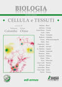 Libro Biologia. Cellula e tessuti